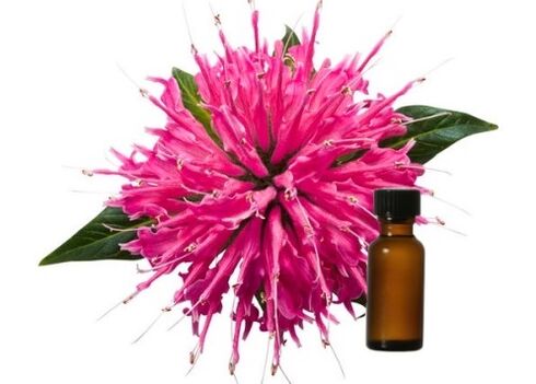 Exodermin contains Monarda oil