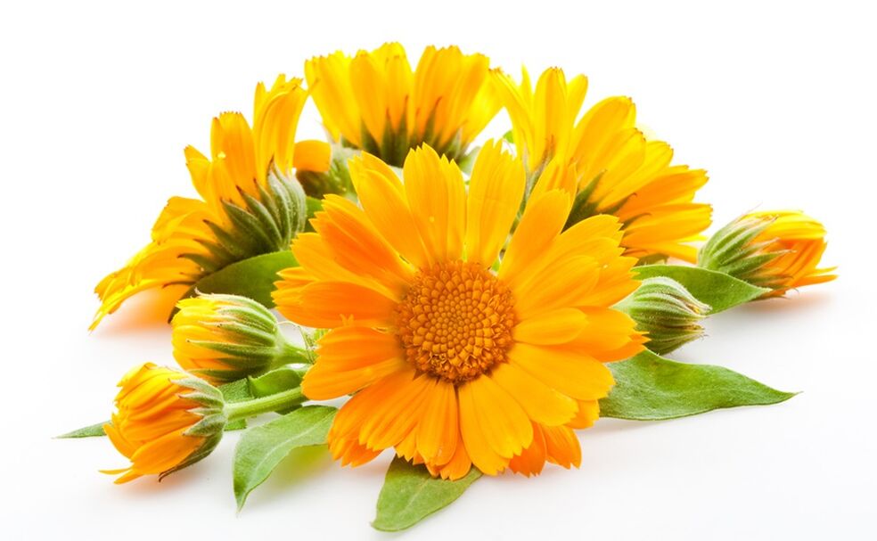 Exodermin contains calendula extract